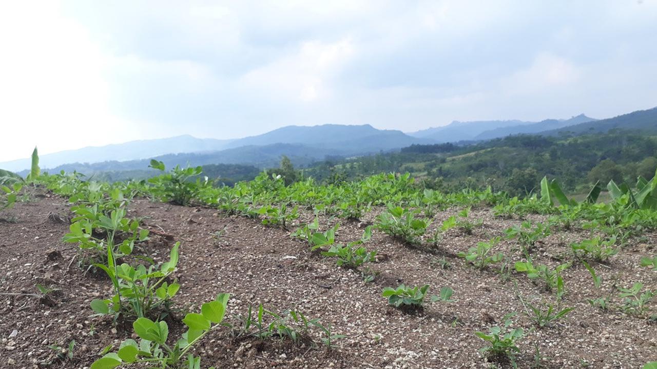 Ilustrasi – Tanah berbukit. (Foto: Liputan6.com/Muhamad Ridlo)