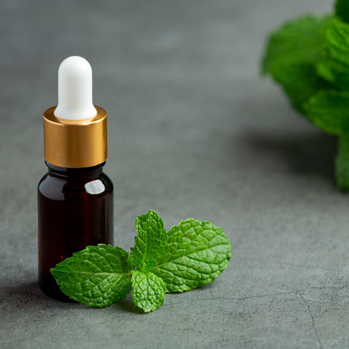 Ilustrasi Minyak Esensial Aroma Peppermint (©Freepik)