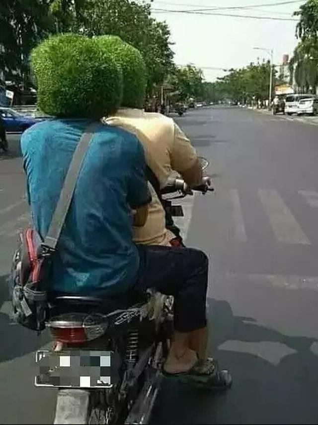6 Tingkah Konyol Orang Punya Rambut dari Rumput, Absurd Banget