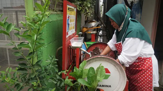 Pokbun Flamboyan