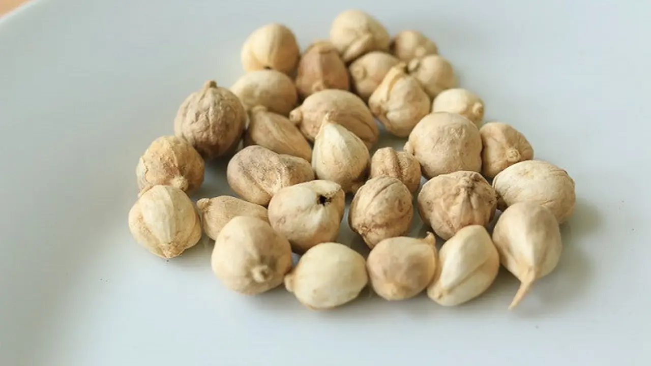 Rempah-rempah Indonesia