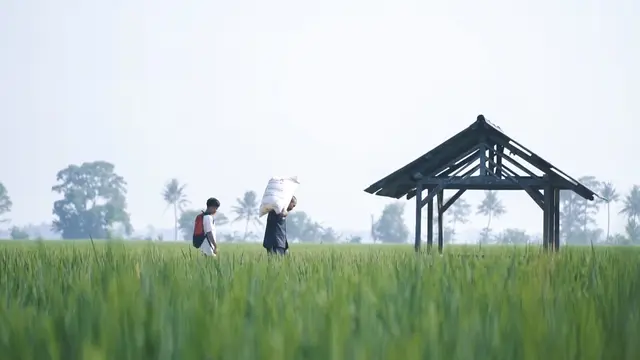 Analisis Kementan Mengenai Krisis Pupuk Dunia dan Dampaknya Bagi Indonesia