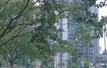 Ada Sungai Bersih di Jakarta, Viewnya Dikelilingi Gedung Tinggi Bak Luar Negeri