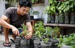 15 Tips Menanam Cabai di Botol Bekas agar Tumbuh Subur, Panduan agar Berbuah Lebat