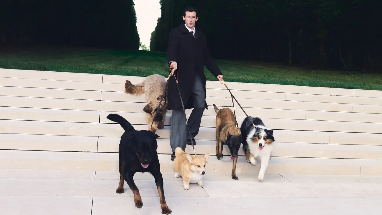 Bukan Main, Louis Vuitton Kini Rilis Tas, Mangkuk Makan, hingga Tali untuk Si Anjing Konglo