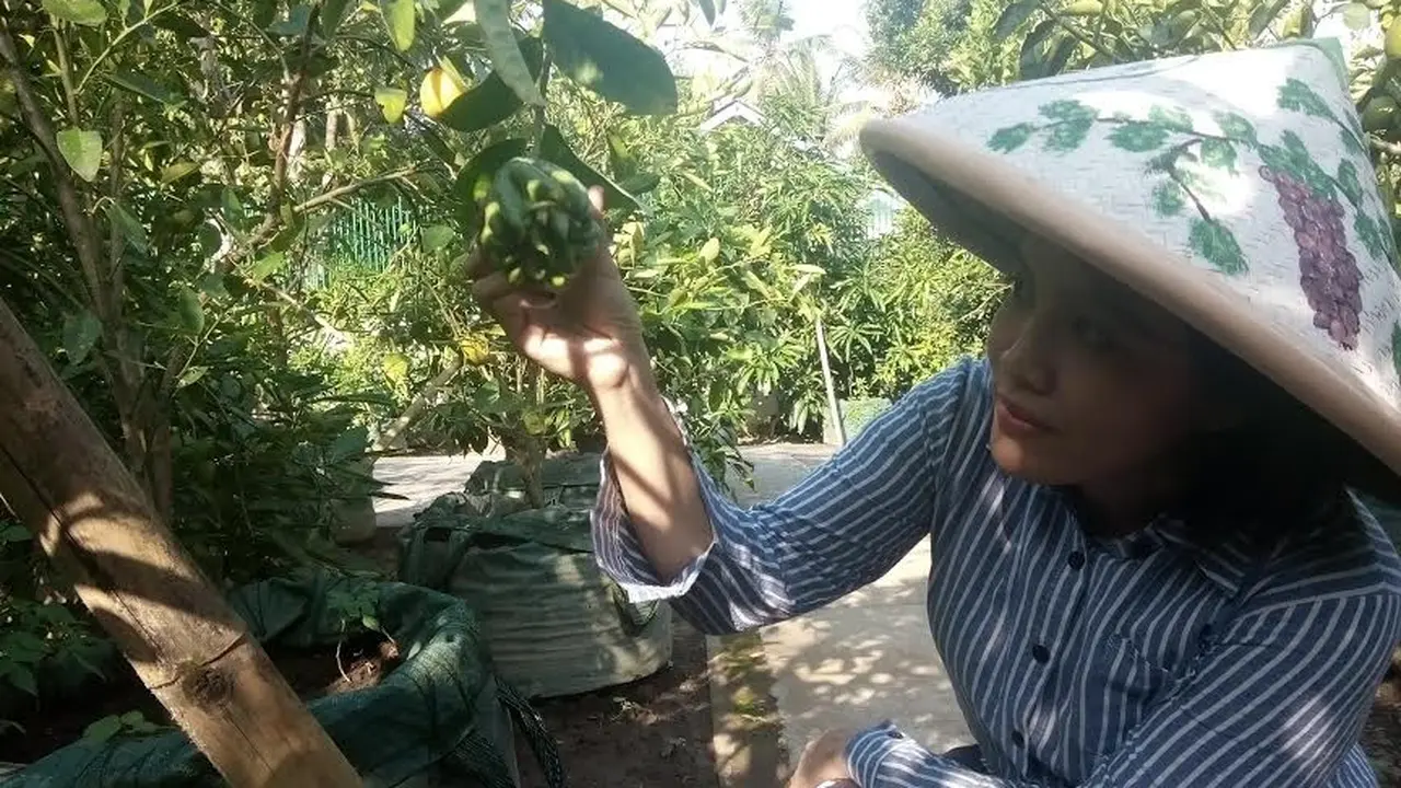 Kebun Buah Sedayu