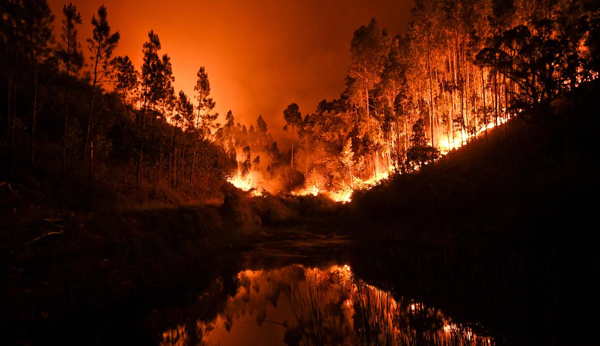 Kebakaran huta di portugal