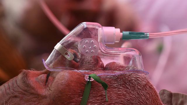 Warga India antre mendapatkan oksigen gratis