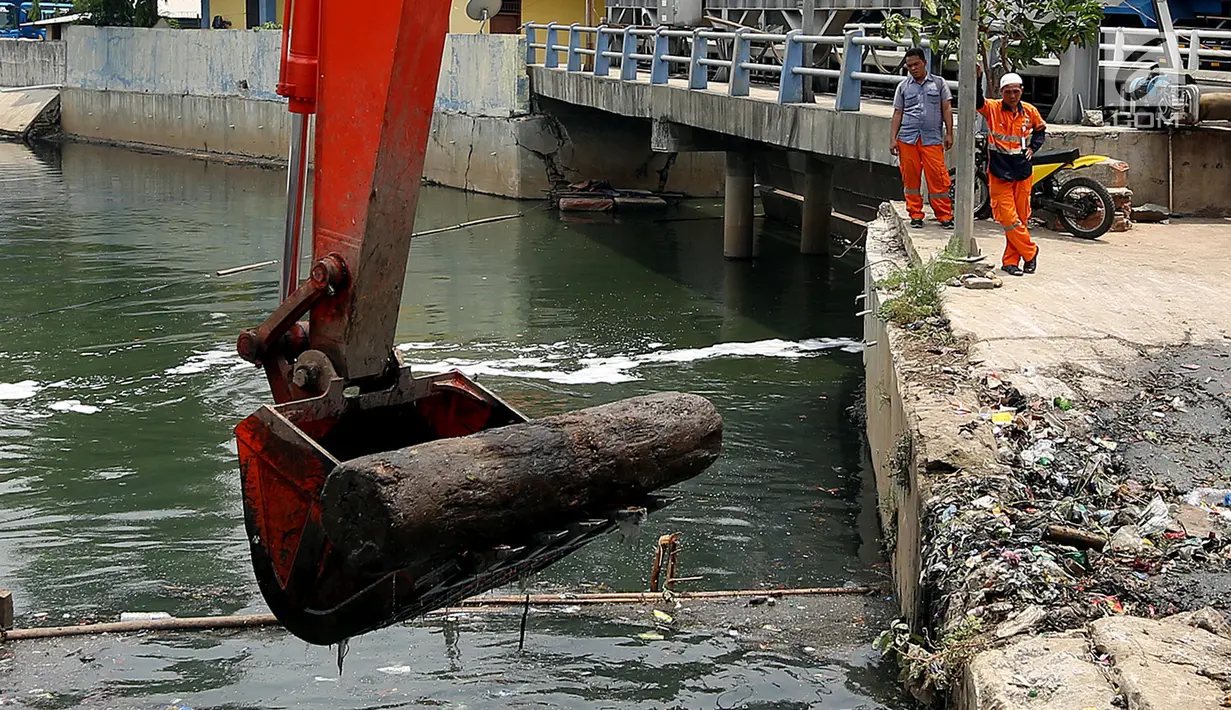 Petugas mengangkat batang pohon dari Kali Sekretaris menggunakan alat berat, Jakarta, Rabu (1/11). Kegiatan ini rutin di lakukan oleh Pasukan Oranye guna mengantisipasi banjir di wilayah Ibukota. (Liputan6.com/Johan Tallo)