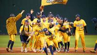 What is the Savannah Bananas? Exhibition Baseball Team Set to Rock 75 Stadiums in 45 States by 2026