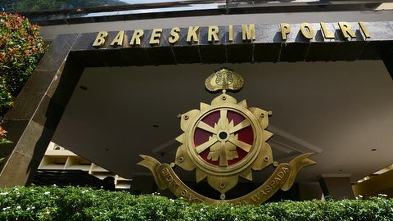 Bareskrim bakal telusuri pajak impor sapi