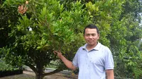 Tasemat berhasil mengajak petani Gunung Kawi untuk mengubah pola tanam semusim menjadi tanaman tegakan dan pohon keras. (Liputan6.com/Zainul Arifin)