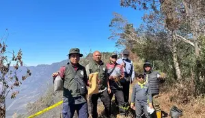 Kemenhut Terjunkan Ahli untuk Usut Pidana Kebakaran Bromo