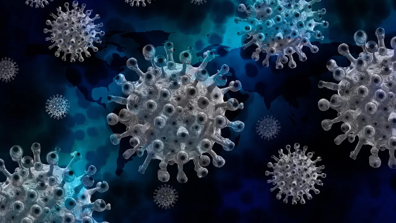 Virus Covid-19 di Indonesia