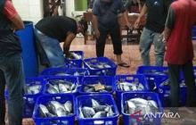Tahukah Anda? Industri Pengalengan Ikan Jadi Harapan Baru Nelayan Bontang untuk Harga Stabil