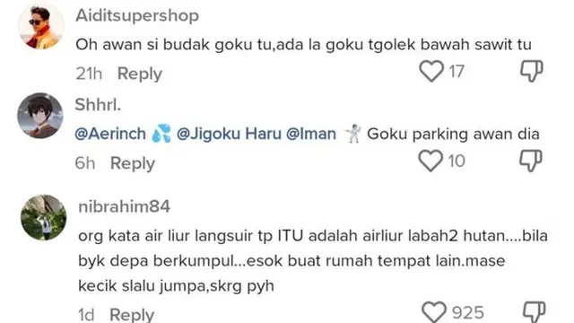 Viral Benda Putih Menempel di Pohon Palem Mirip Awan, Netizen: Milik Son Goku