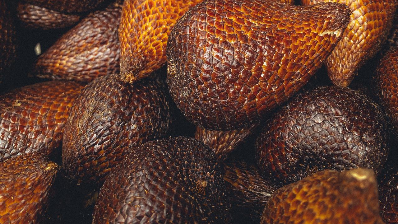 Ilustrasi buah salak