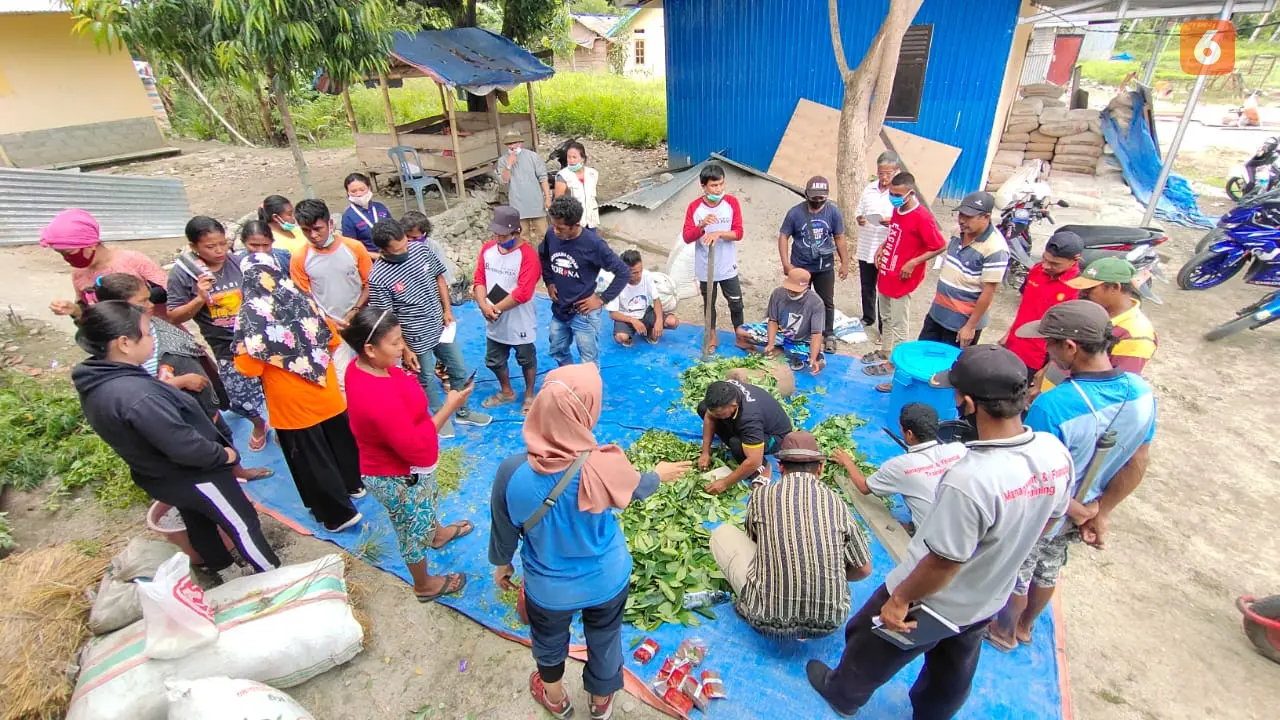 Demonstrasi pembuatan pestisida nabati di Kecamatan Dolo Selatan, Kabupaten Sigi