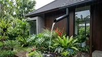 Cara Melindungi Taman Menjelang Musim Hujan agar Tanaman Tetap Sehat dan Tidak Mudah Busuk