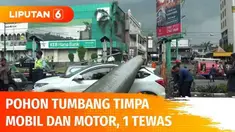 Pohon palem setinggi 30 meter di Pondok Indah, tiba-tiba saja tumbang saat lalu lintas tengah ramai. Akibatnya sebuah mobil tertimpa hingga ringsek di bagian atas. Masih di lokasi yang sama, sebelumnya pohon timpa pengemudi ojol hingga tewas.