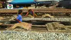 Akibat garam dipanen lebih awal, jumlah yang dihasilkan hanya separuhnya, yaitu sekitar 3 ton per hektare.