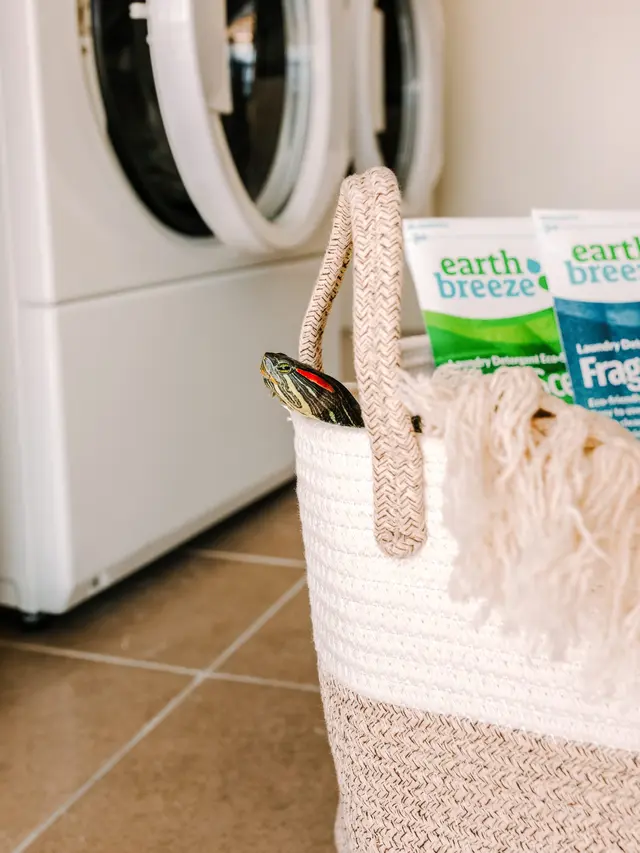 Ilustrasi mesin cuci