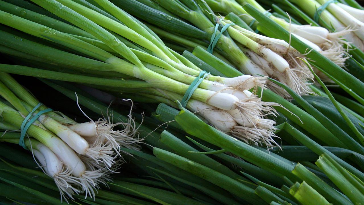 Spring Onion