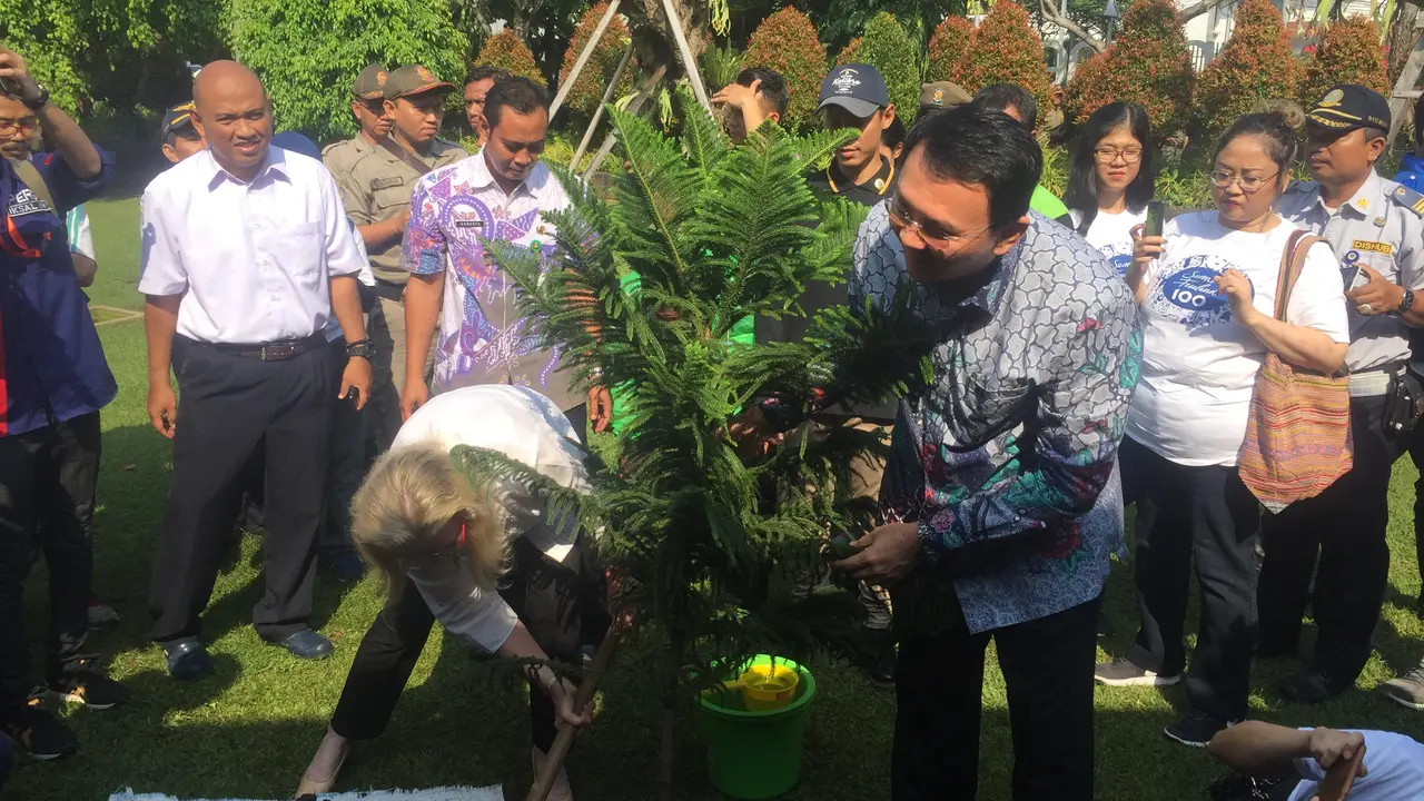 Ahok Bersama Dubes Finlandia Tanam Pohon Di Menteng