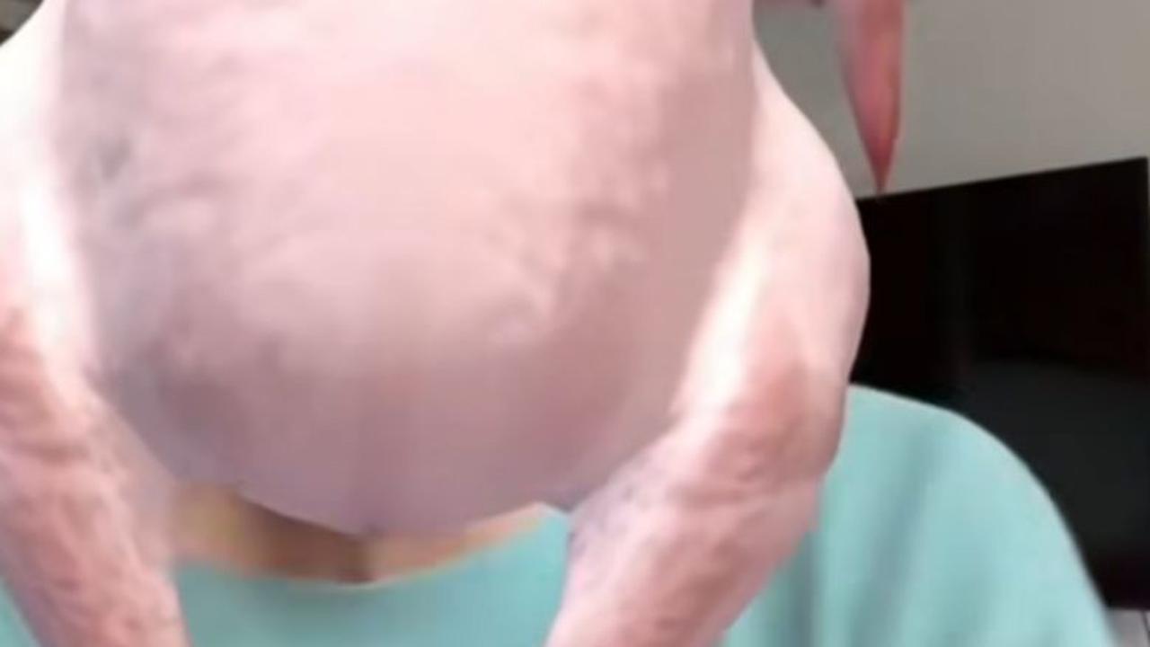 Bunda Corla Marah di Gift Ayam Mukanya Ketutup, Netizen Justru Ngakak
