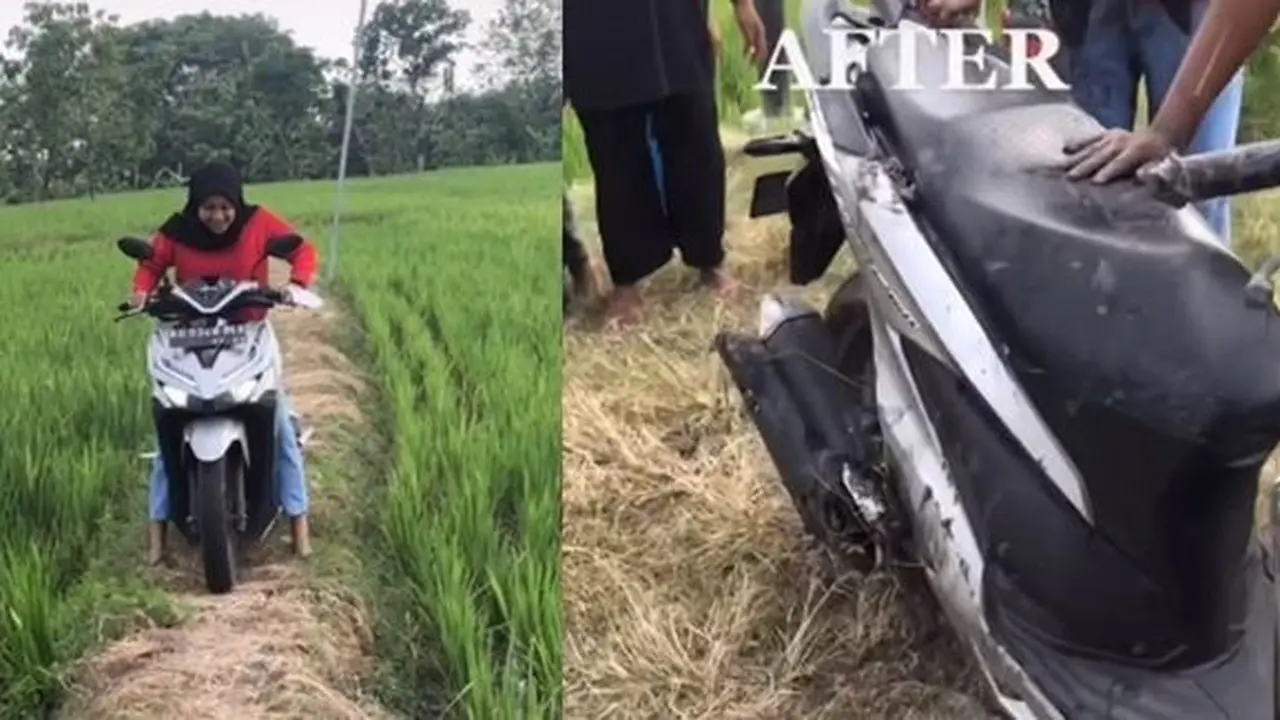 Berkendara di pematang sawah