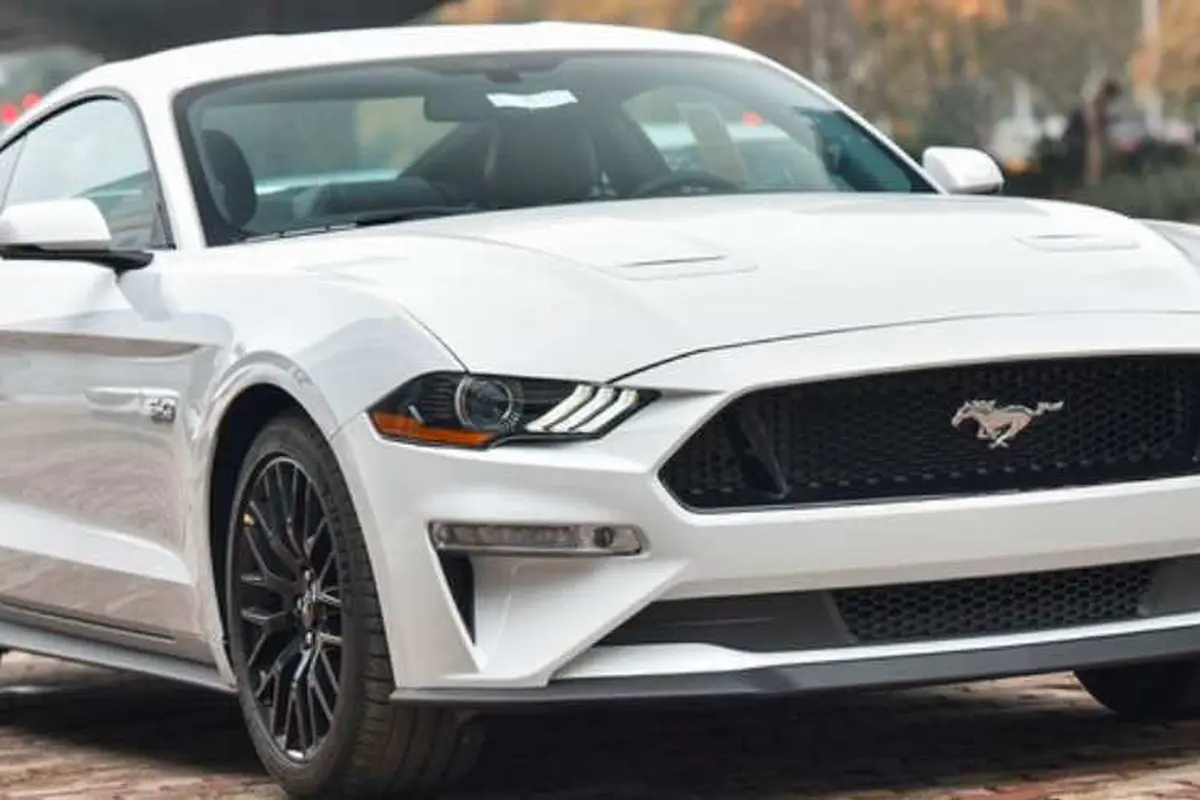 Ford Mustang GT 2019 (Zing.vn)