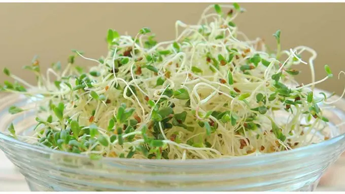 Copyright by shutterstock.com