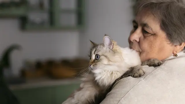 kucing dan wanita tua