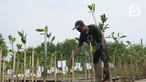 Warga menanam mangrove pada kawasan Eco Marine mangrove Muara Angke, Jakarta Rabu (26/7/2023). (merdeka.com/imam buhori)