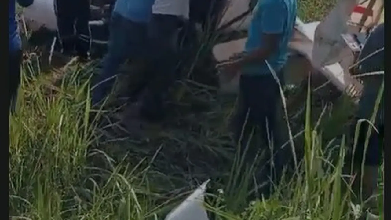 Pesawat Latih Jatuh di Ciampea Bogor