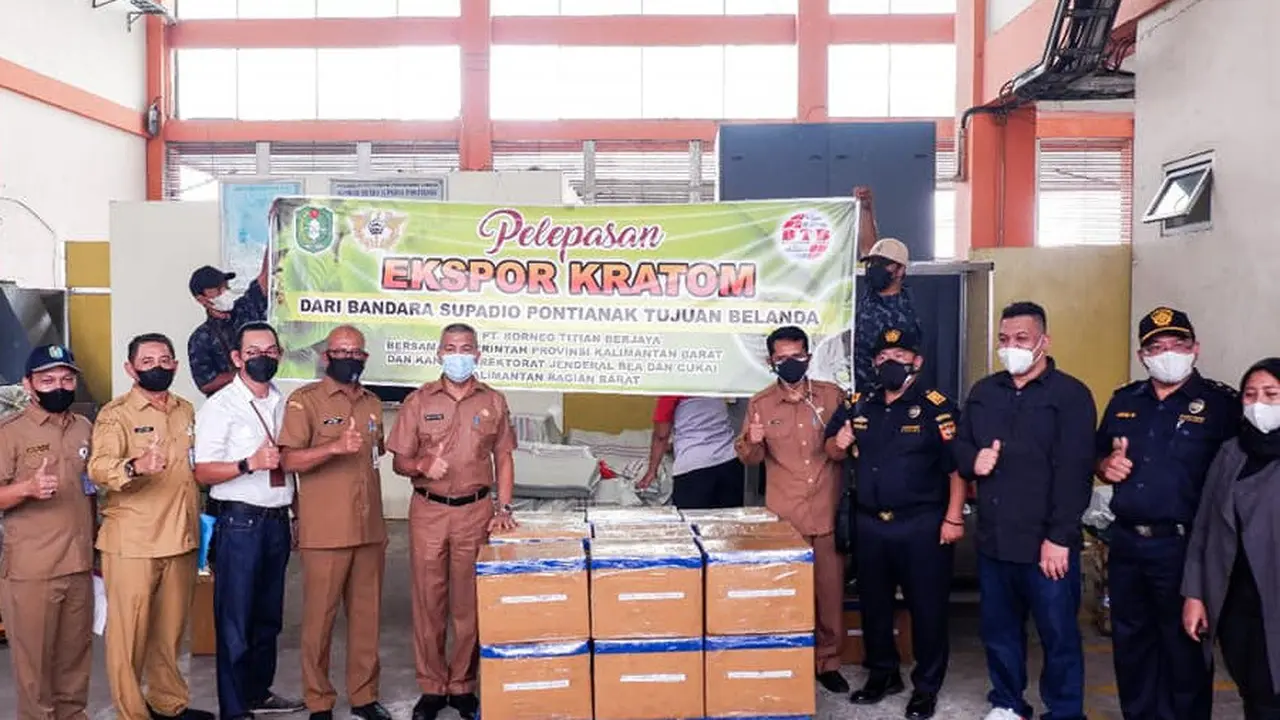 Tepung Kratom Kalimantan Barat Perdana Diekspor ke Pasar Eropa