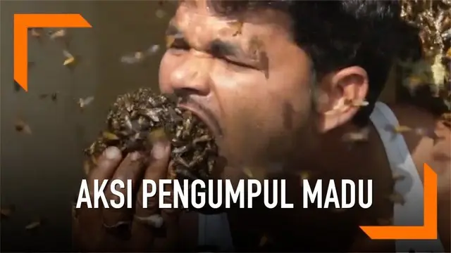 Seorang pengumpul madu asal India melakukan aksi menegangkan. Ia memasukkan lebah ke mulutnya.