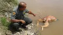 Foto yang diambil pada 2 Januari 2018, Petugas satwa liar menunjukkan mayat Orangutan di sungai di Barito , Kalimantan Tengah. Pada 1 Februari 2018 , dua orang Indonesia ditangkap karena menembak Orangutan. (AFP/Borneo Orangutan Survival Foundation)
