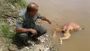Foto yang diambil pada 2 Januari 2018, Petugas satwa liar menunjukkan mayat Orangutan di sungai di Barito , Kalimantan Tengah. Pada 1 Februari 2018 , dua orang Indonesia ditangkap karena menembak Orangutan. (AFP/Borneo Orangutan Survival Foundation)