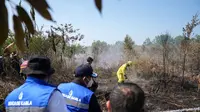KLH Segel 50 Badan Usaha Terkait Kebakaran Hutan