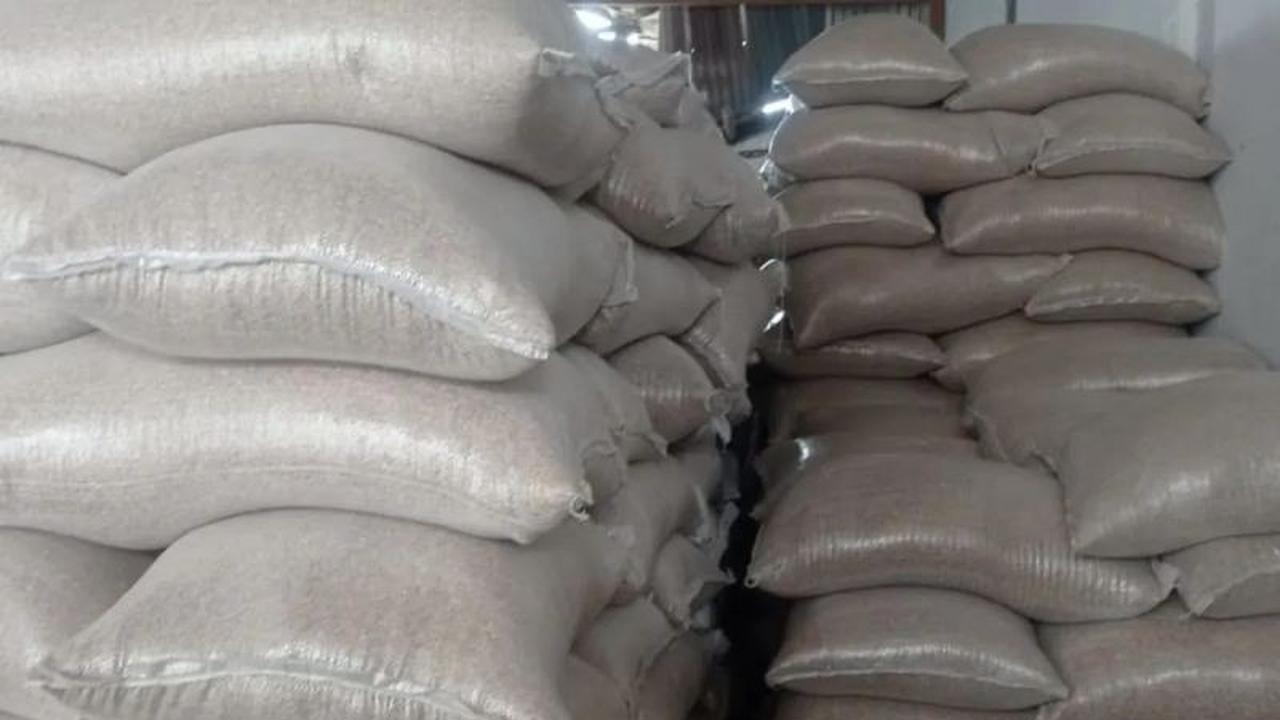 Produksi Beras Lebak Tembus 157 Ribu Ton, Jamin Ketahanan Pangan Daerah