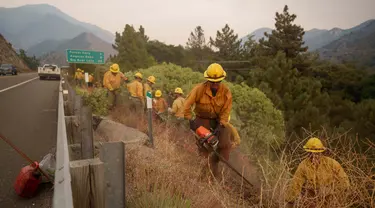 Petugas pemadam kebakaran saat berusaha melokalisir kebakaran hutan yang terus meluas di Mentone, California, Minggu 8 September 2024. (AP Photo/Eric Thayer)