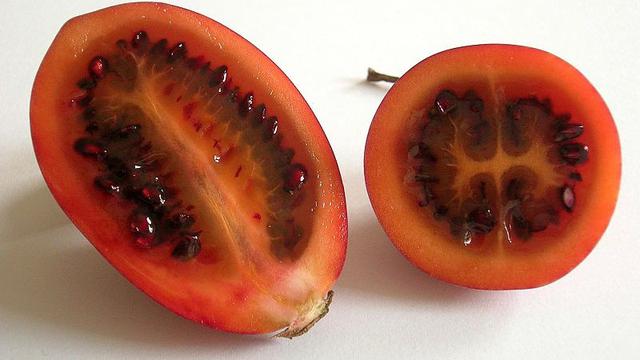 Manfaat Terong Belanda