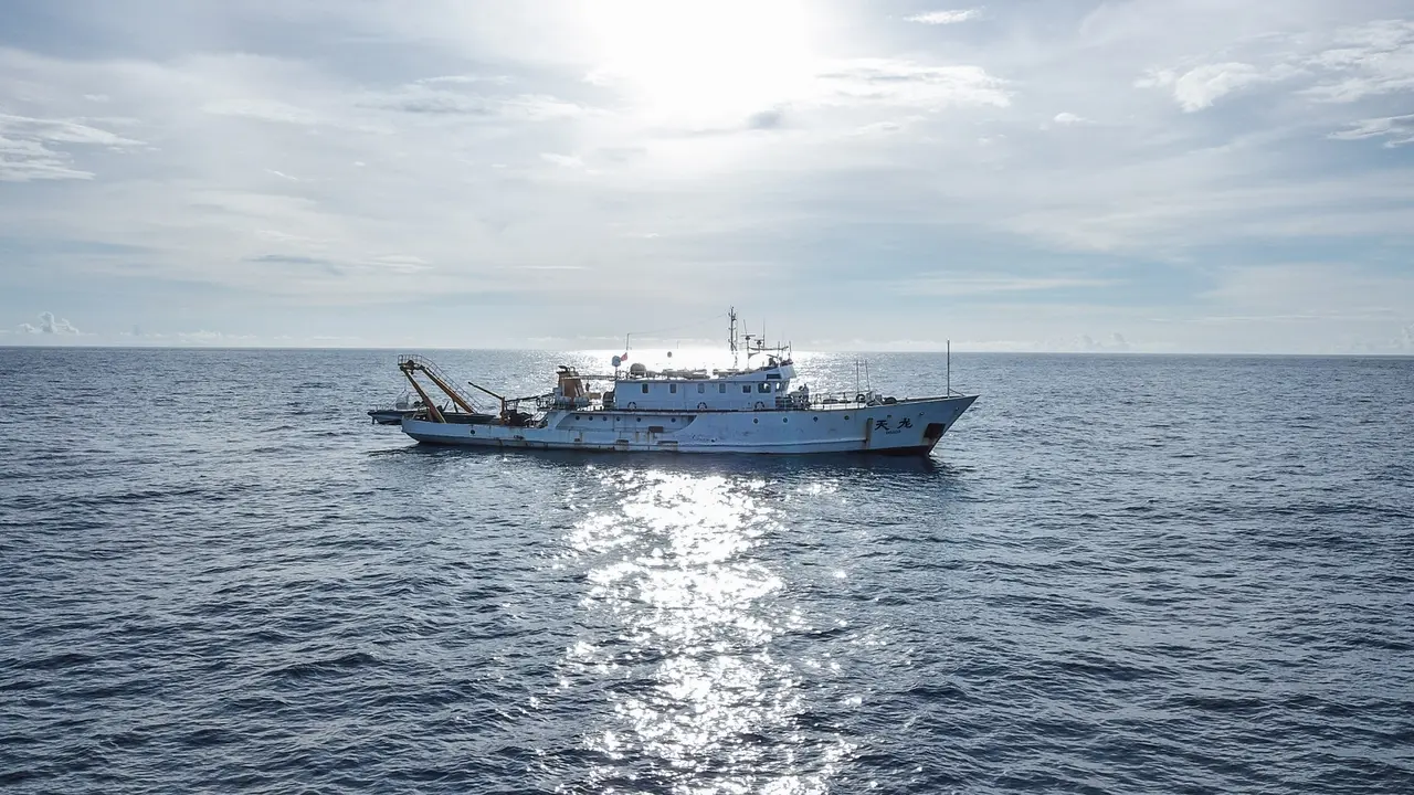 FOTO: Peneliti Temukan 11 Spesies Paus di Laut China Selatan