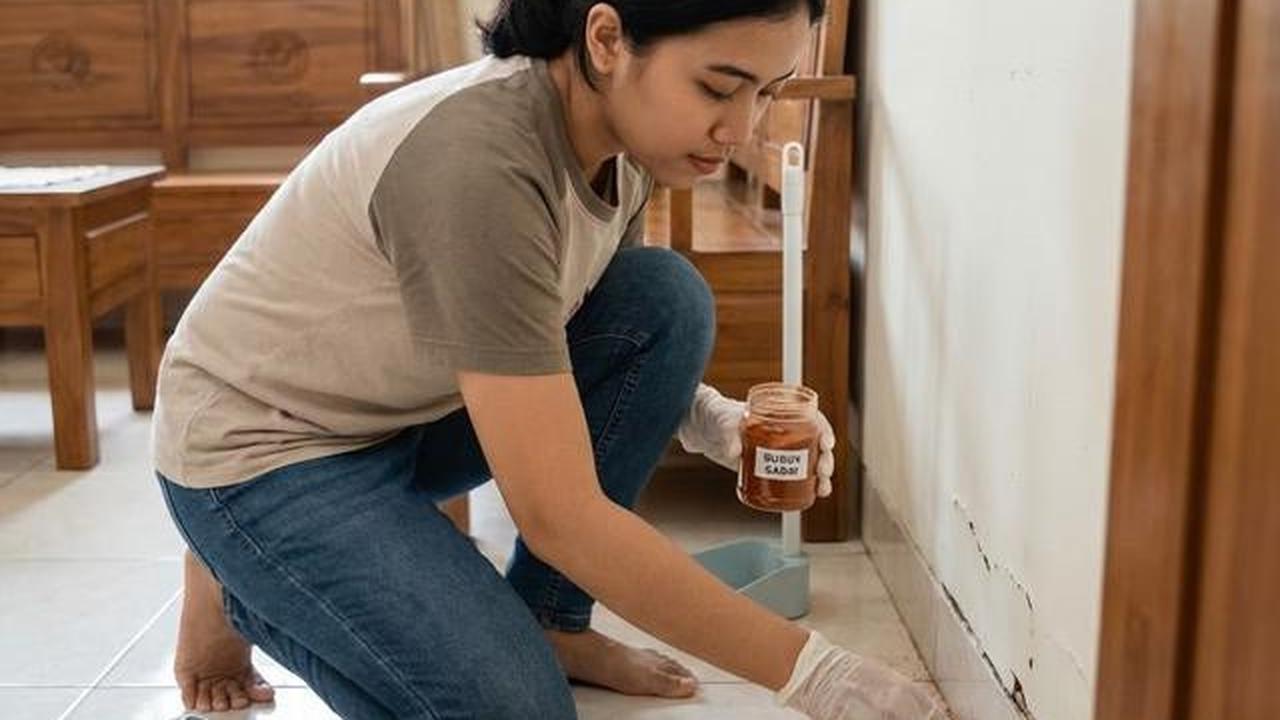 Cara Agar Tikus Tidak Buang Kotoran di Tempat yang Sama, Dijamin Kapok