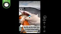 Cek Fakta: Tidak Benar dalam Video Ini Seekor Hiu Serang Kapal Nelayan