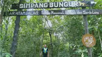 Seorang wisatawan saat berjalan di keluar dari pintu gerbang kawasan ecowisata Taman Nasional Berbak dan Sembilang (TNBS) di Simpang Bungur, Resort I, Kabupaten Tanjung Jabung Timur, Jambi, Sabtu (27/7/2019). (Liputan6.com/Gresi Plasmanto)