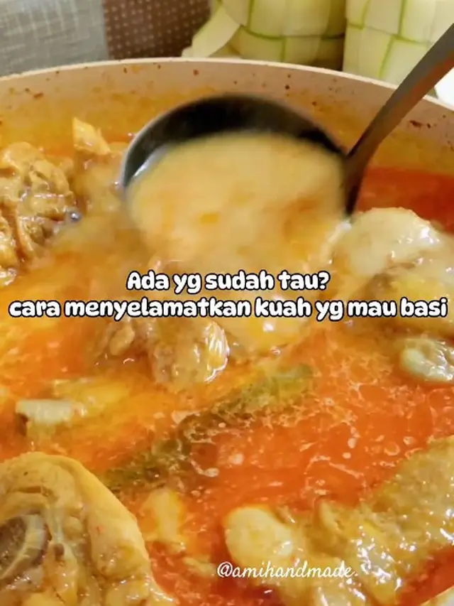 Cara Efektif Agar Opor Ayam yang Sudah Mau Basi Supaya Tetap Aman Dimakan, Hanya Tambah 1 Bahan Saja