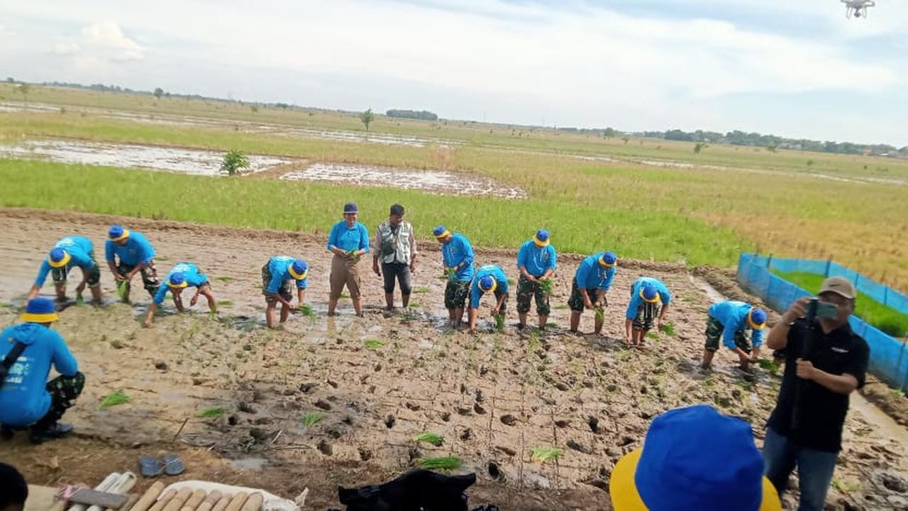 Tingkatkan Produksi Beras, Menteri PU Dorong Kolaborasi Lintas Sektor Terapkan Teknologi IPHA