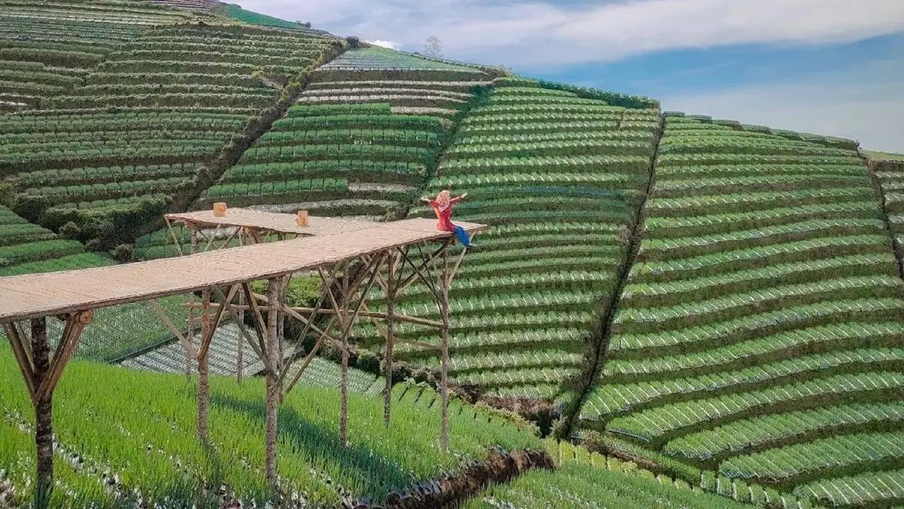Wisata Alam Terasering Berlatar Gunung Sumbing, Pemandangannya Mirip di Gim Minecraft
